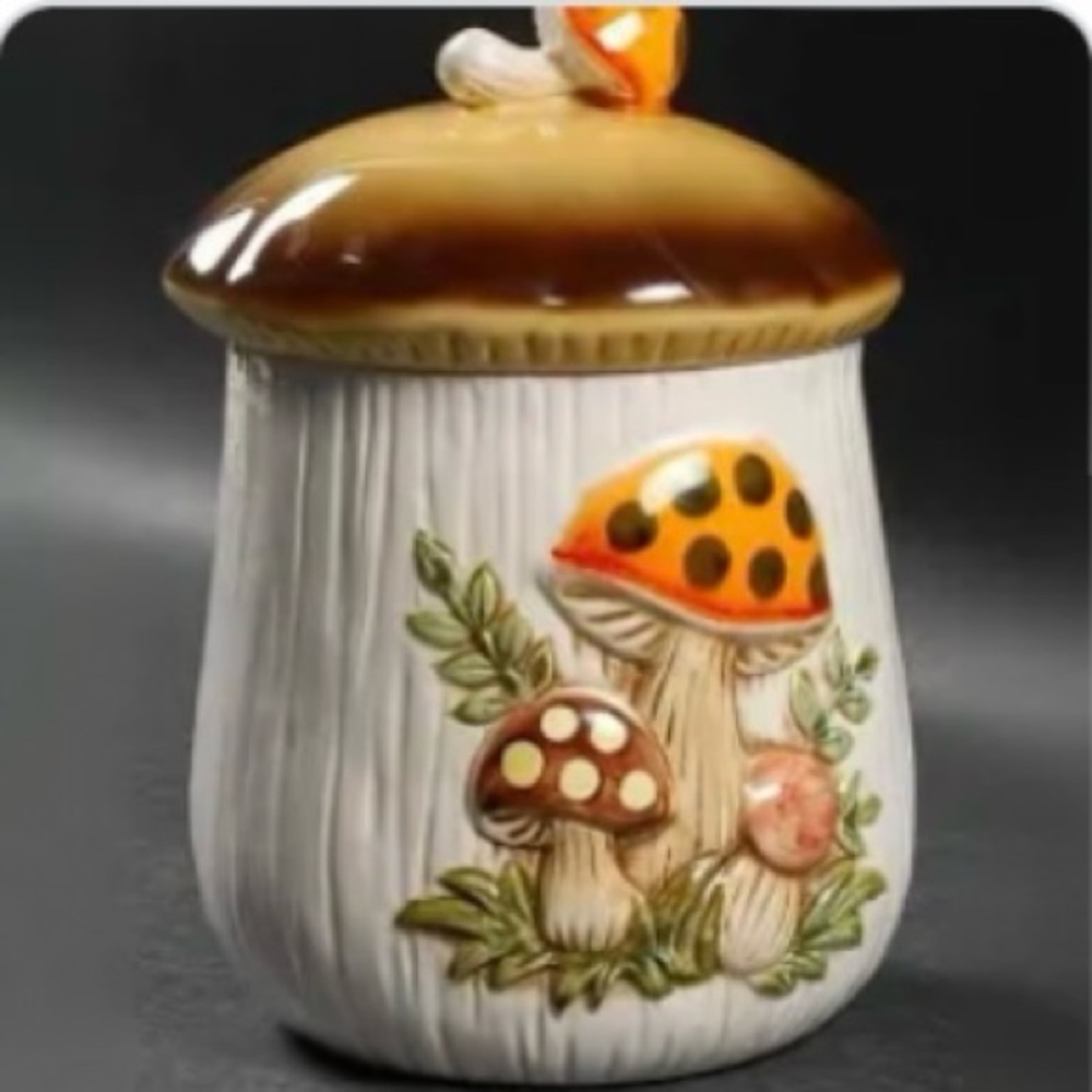 Poshmark used Sears Vintage Mushroom Canister. Set of 4.
